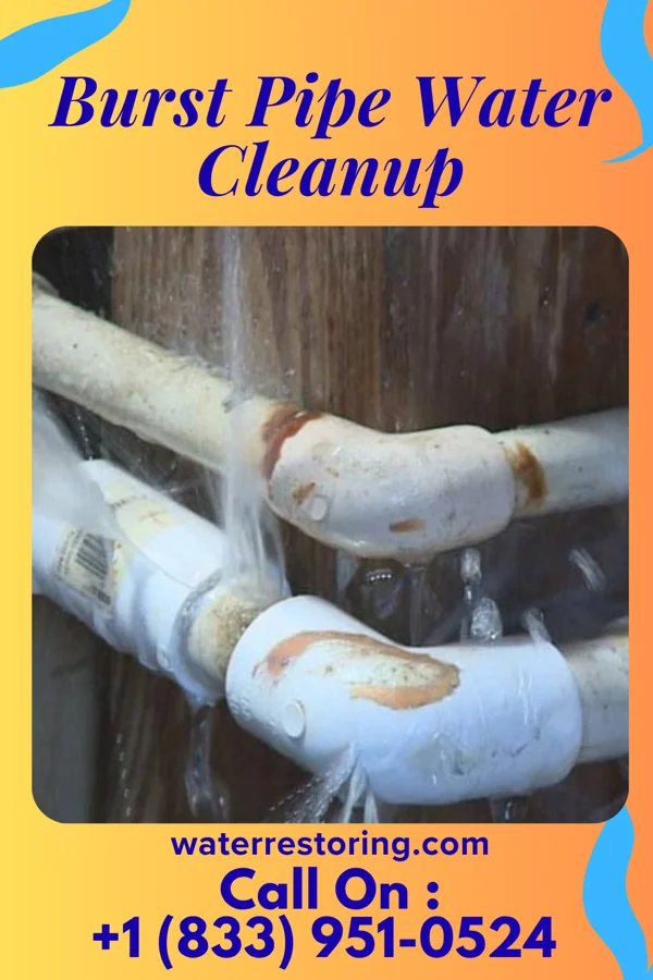 Burst Pipe Water Cleanup in Morningside, MD