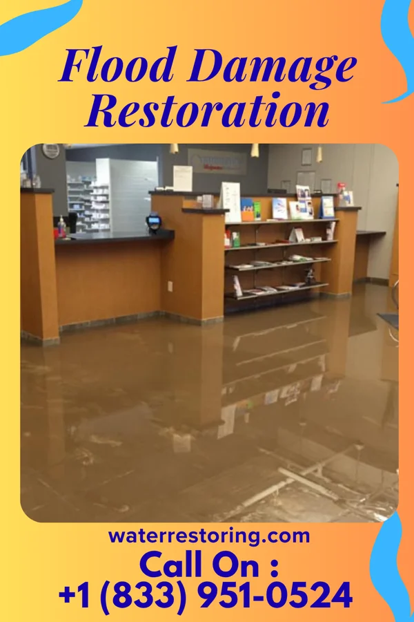 Flood Damage Restoration in Morningside, MD