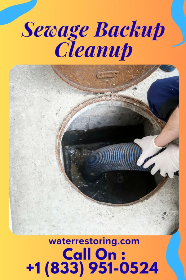 Sewage Backup Cleanup in Morningside, MD