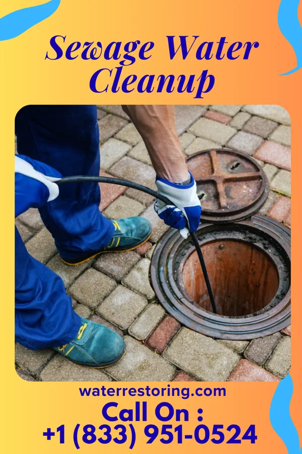 Sewage Water Cleanup in Morningside, MD